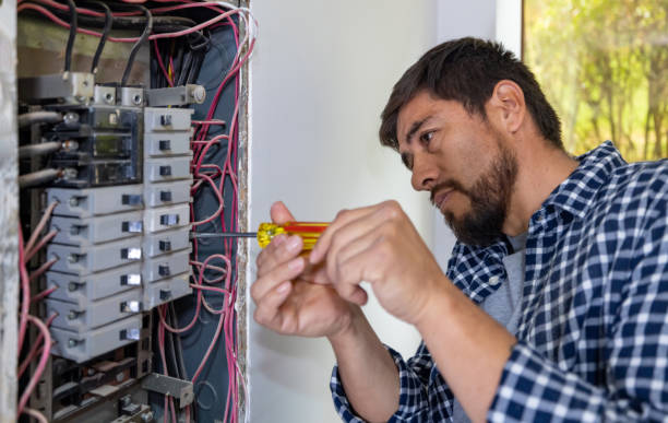 Best Electrician for Home Renovation  in Hampton, SC
